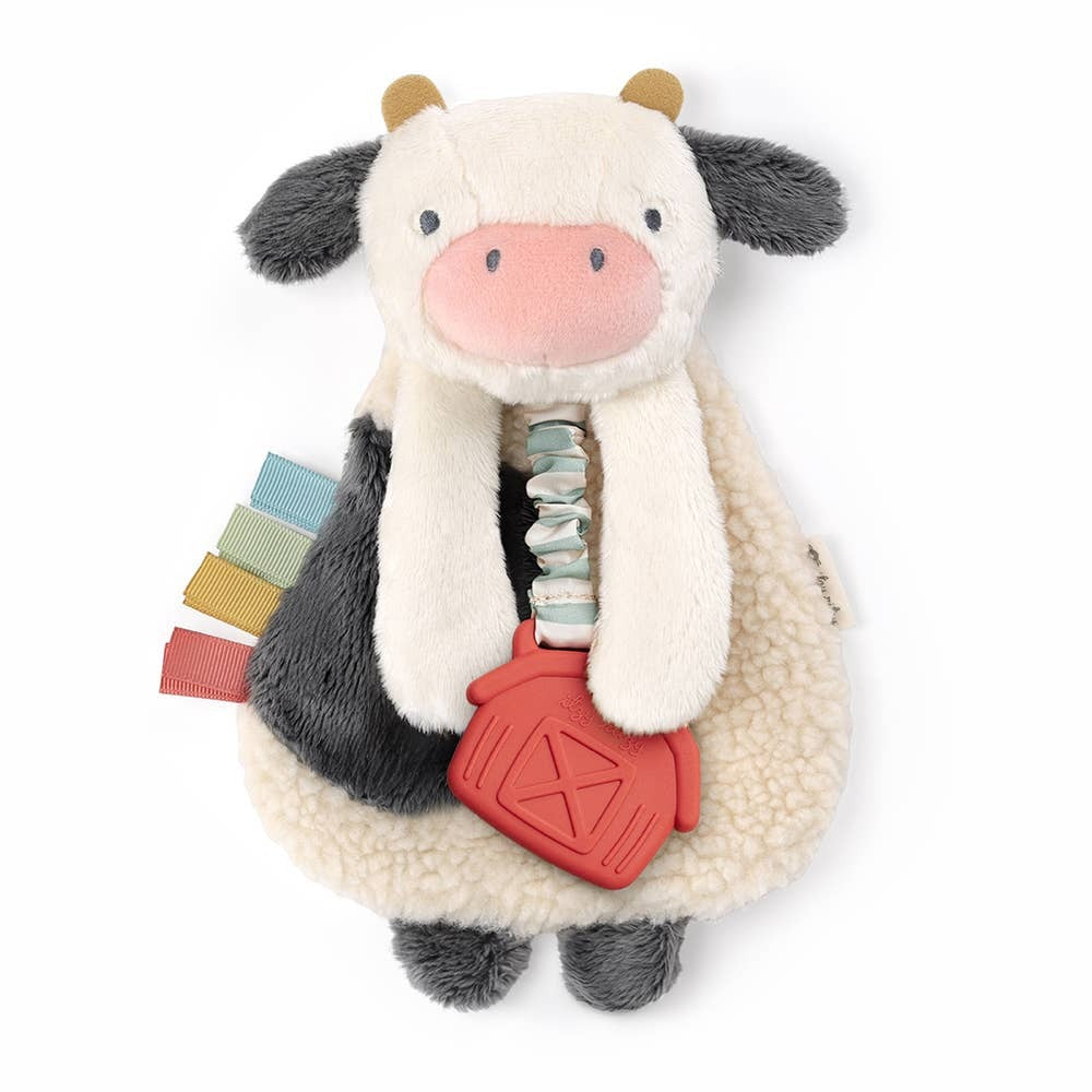 Itzy Ritzy Lovey Plush and Teether Toy - Image 3